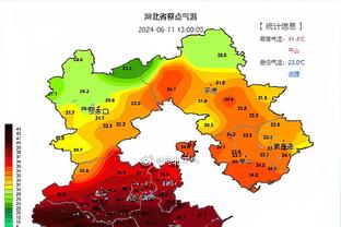 湖人大战卫冕冠军掘金！詹姆斯和浓眉可以出战